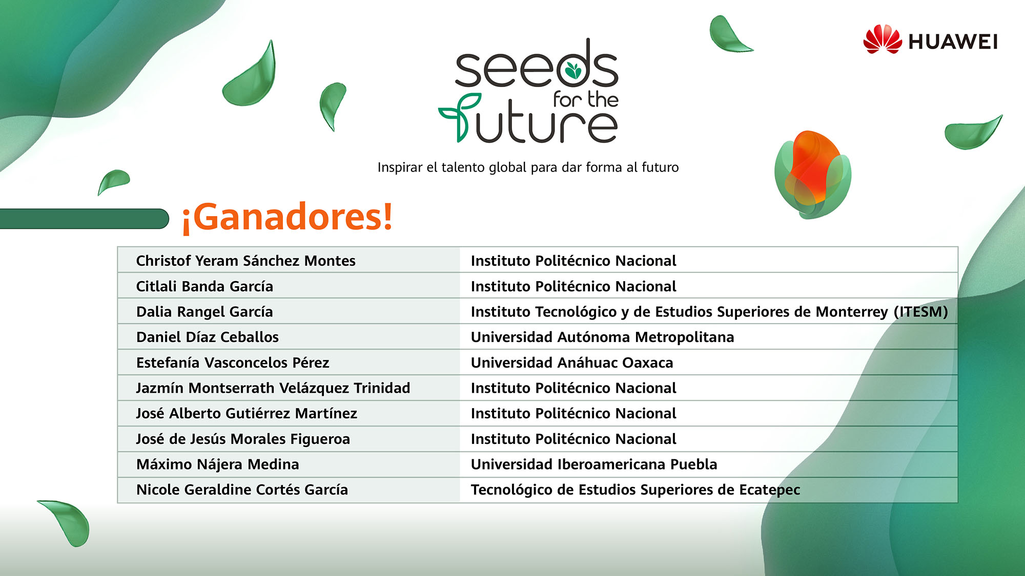 Ganadores Seeds for the Future México 2025